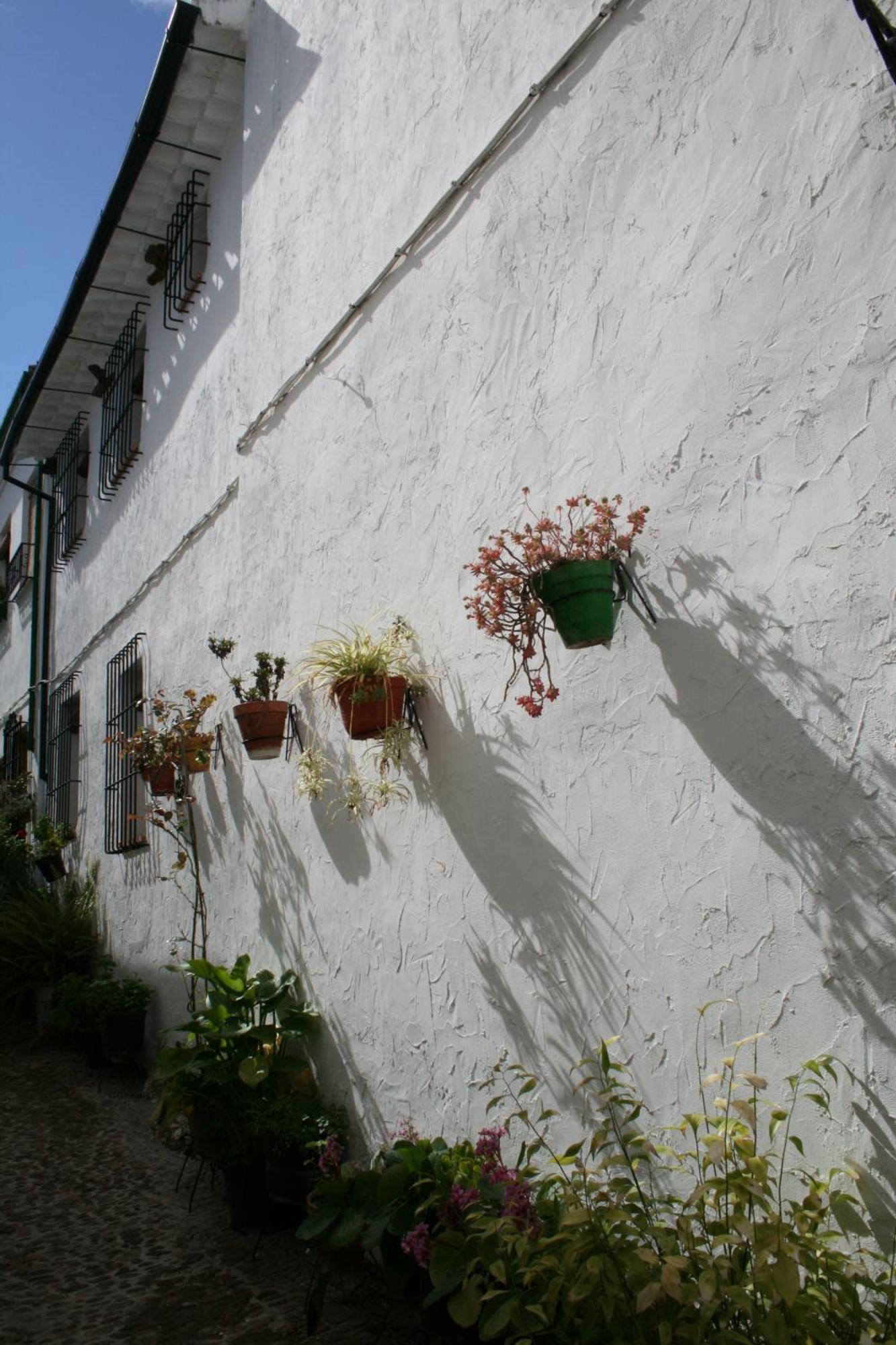 Casa Rural Zambra Priego De Cordoba Bagian luar foto