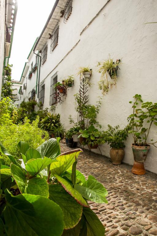 Casa Rural Zambra Priego De Cordoba Bagian luar foto